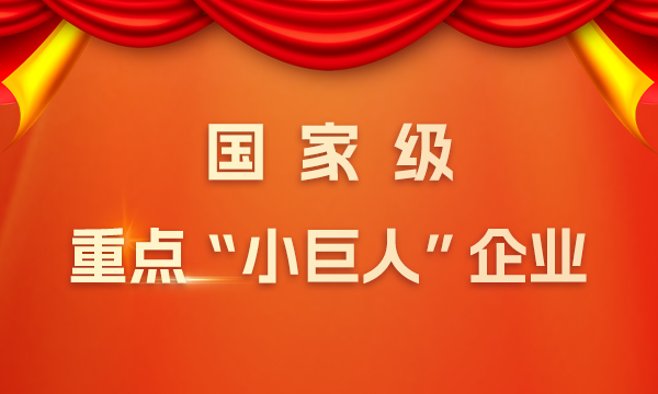 喜报！南宫28NG相信品牌的力量获评国家级“重点小巨人” 企业